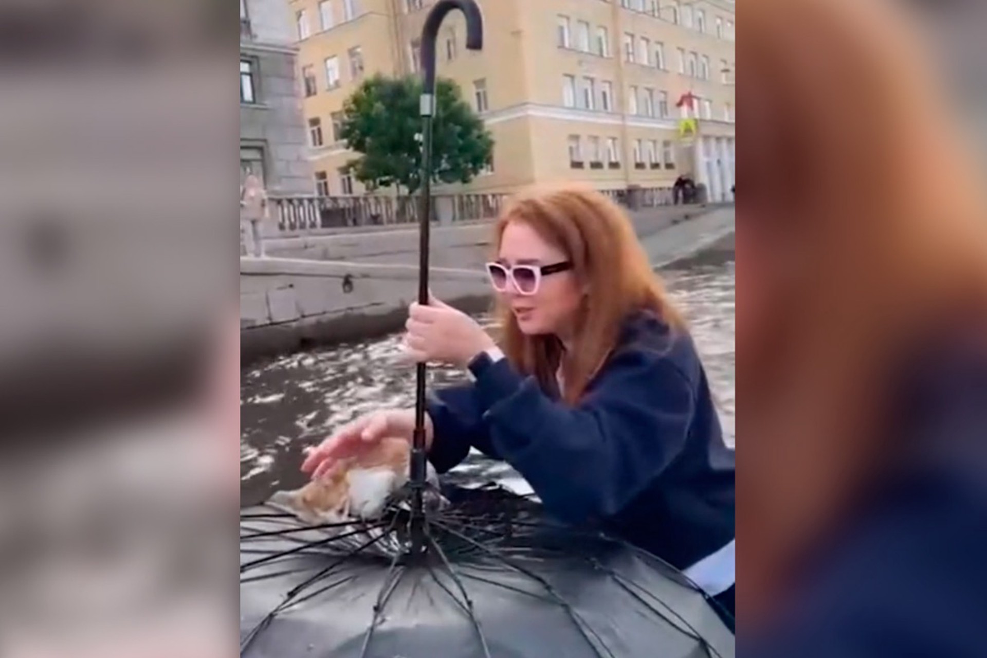Неравнодушные люди спасли котенка, тонувшего в водах канала в Санкт-Петербурге