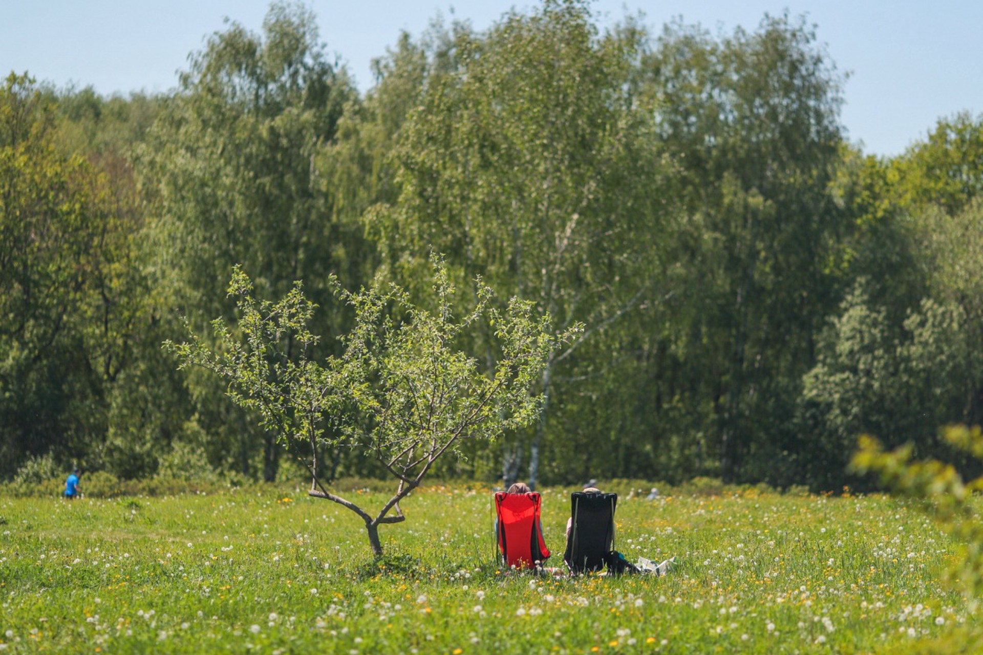 Майские праздники предложили удлинить за счет новогодних каникул