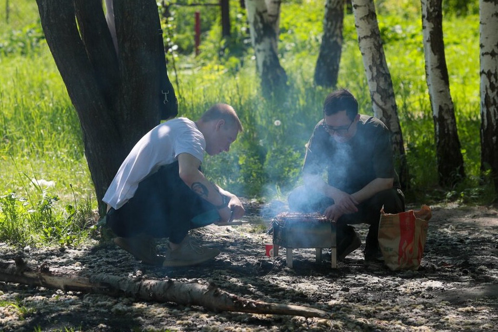 Одноразовые мангалы потребовал запретить Милонов