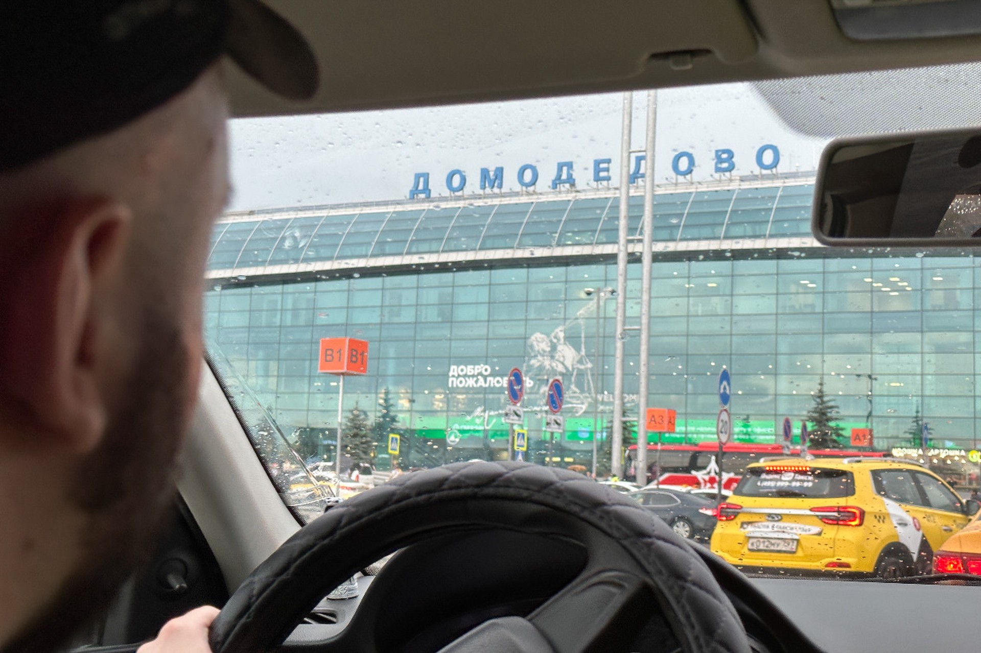 Каменщик обжаловал передачу аэропорта Домодедово государству