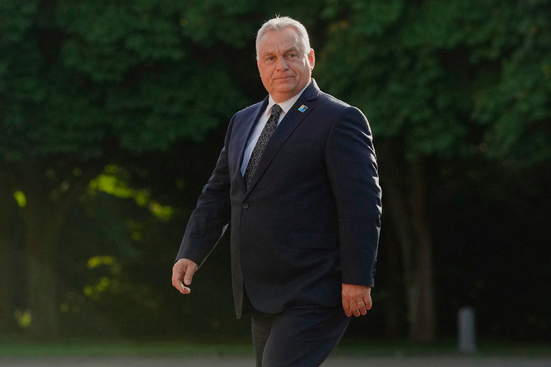 Орбан заявил о победе противников вступления Украины в НАТО на саммите в Гааге