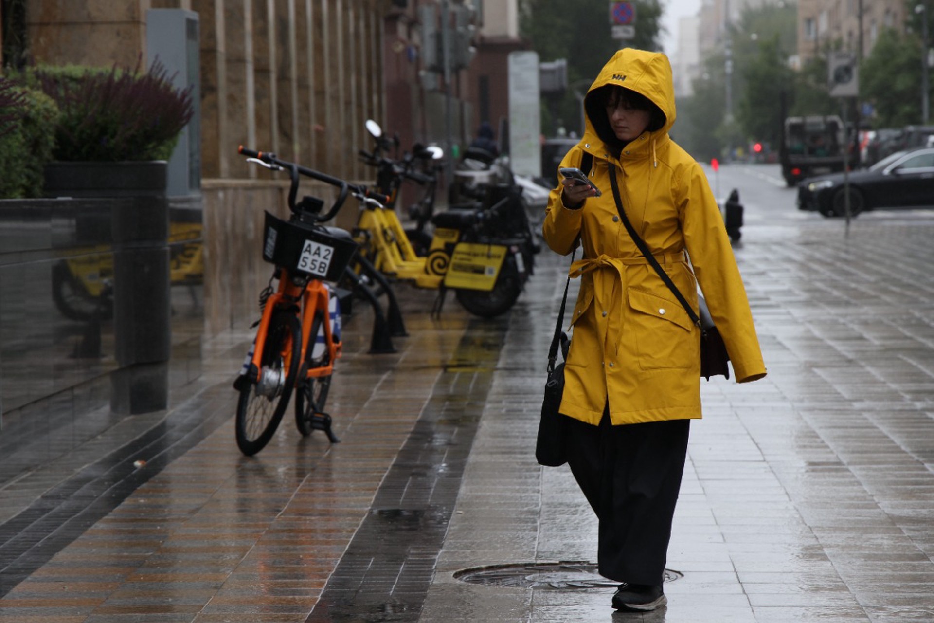 В почве обнаружили вызывающие дождь микроорганизмы