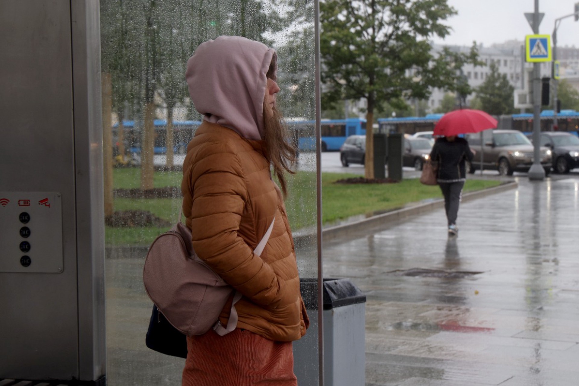 МЧС предупредило москвичей о непогоде в ночь на воскресенье