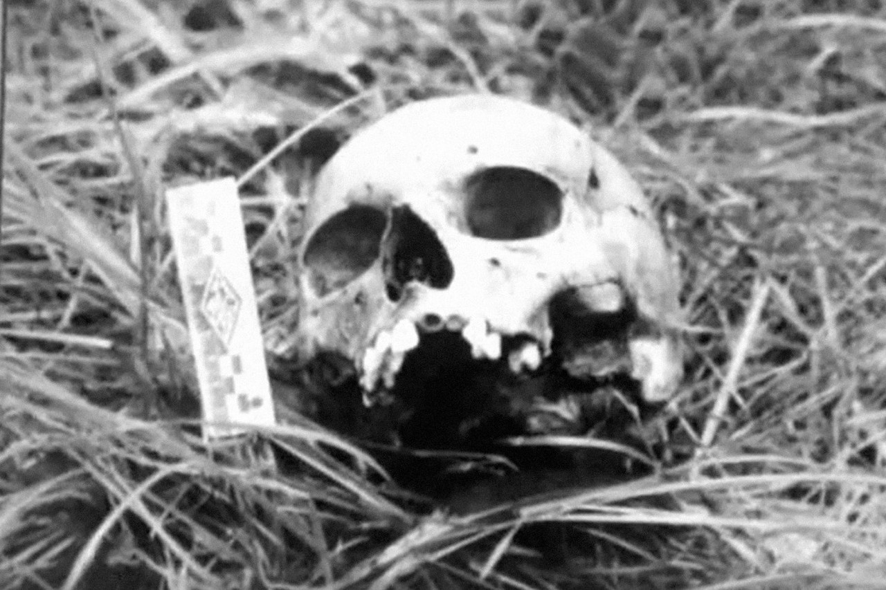 Душегуб по прозвищу Фишер: история последнего советского маньяка и его страшного приговора