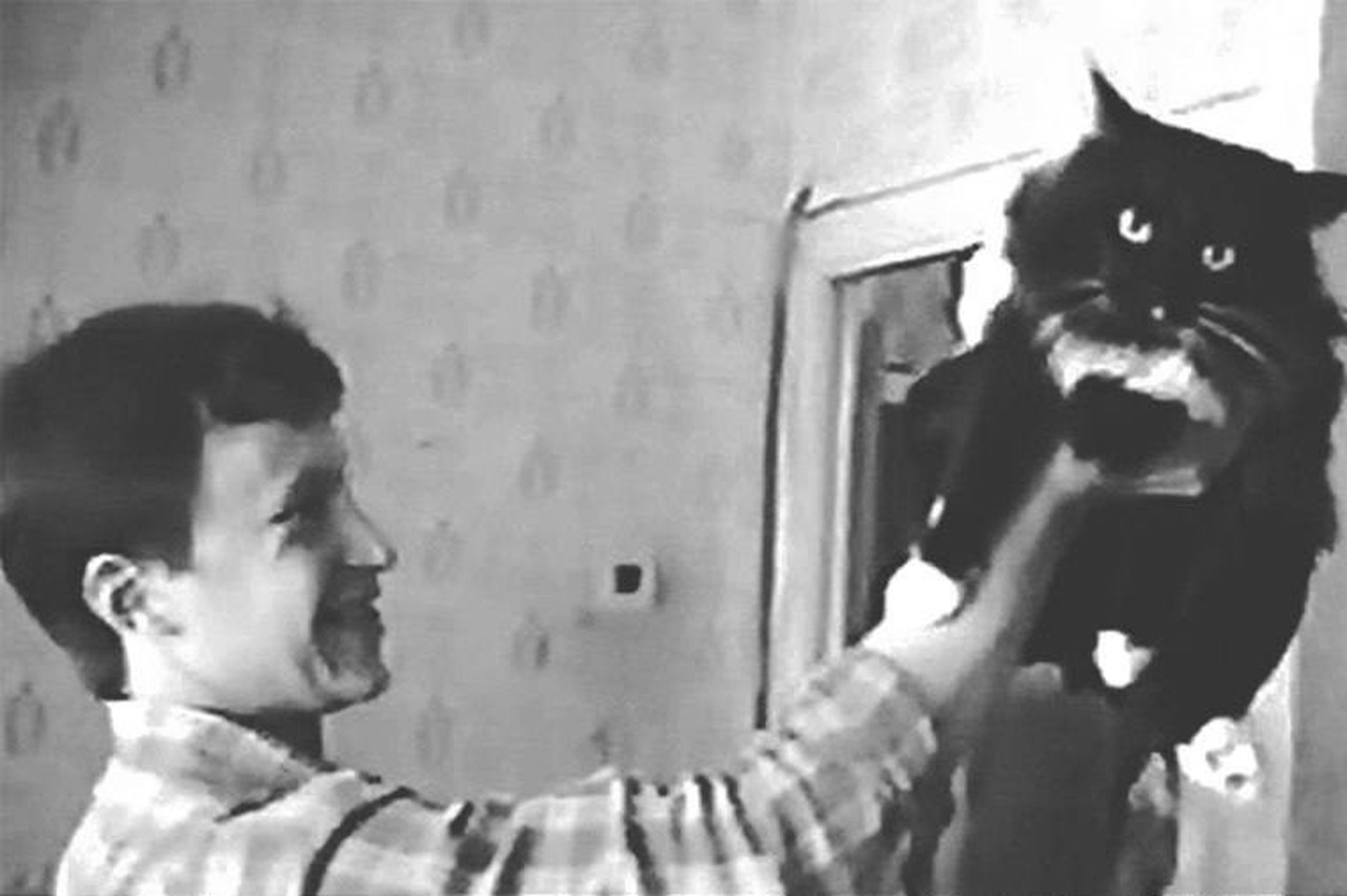 «Не поймали бы – я бы никогда не остановился»: как «битцевский маньяк» держал в страхе москвичей