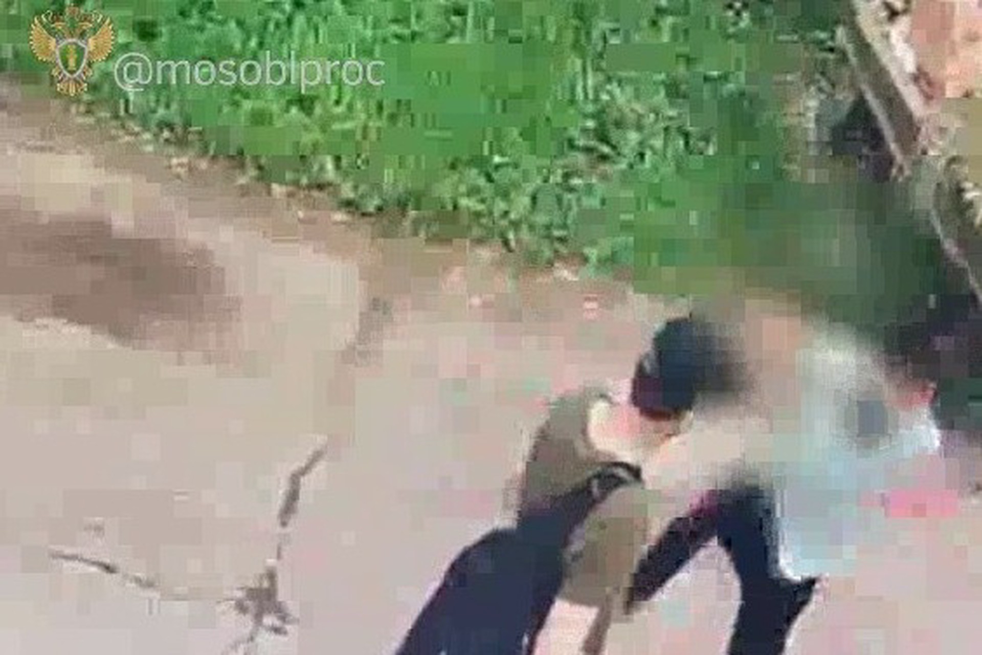 Нелегальный мигрант до смерти избил инвалида в Подмосковье