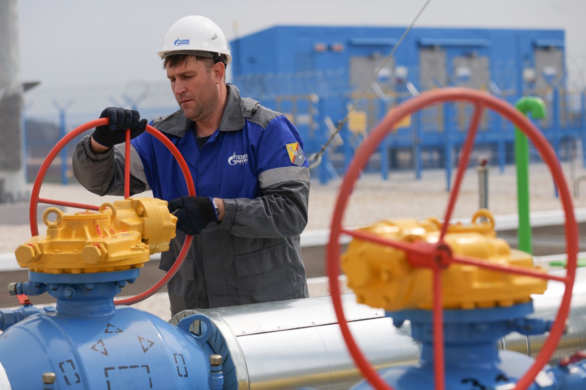 Стало известно, почему ЕС не побоится полностью отказаться от газа и нефти из России