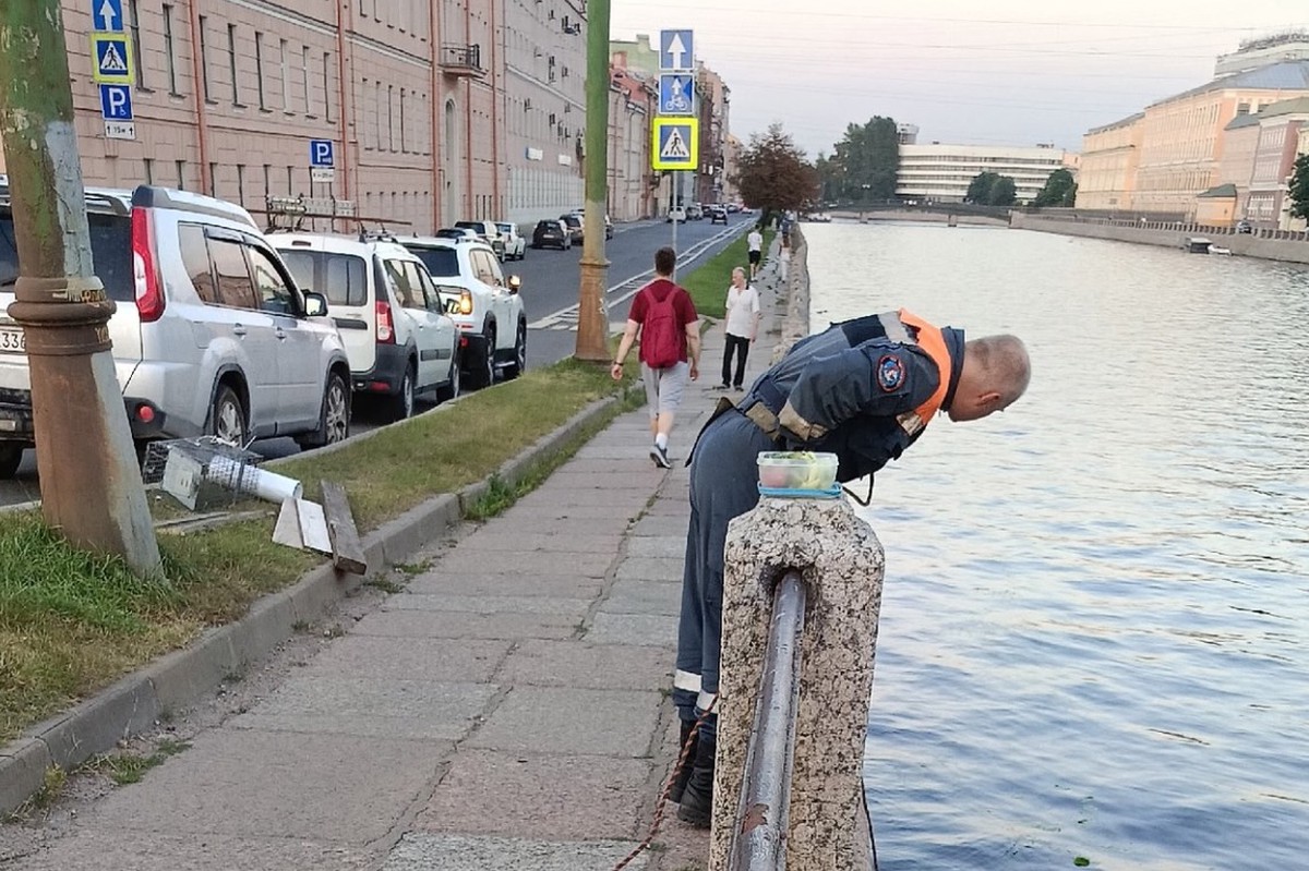 Волонтеры в Санкт-Петербурге четыре дня пытаются спасти застрявшего кота