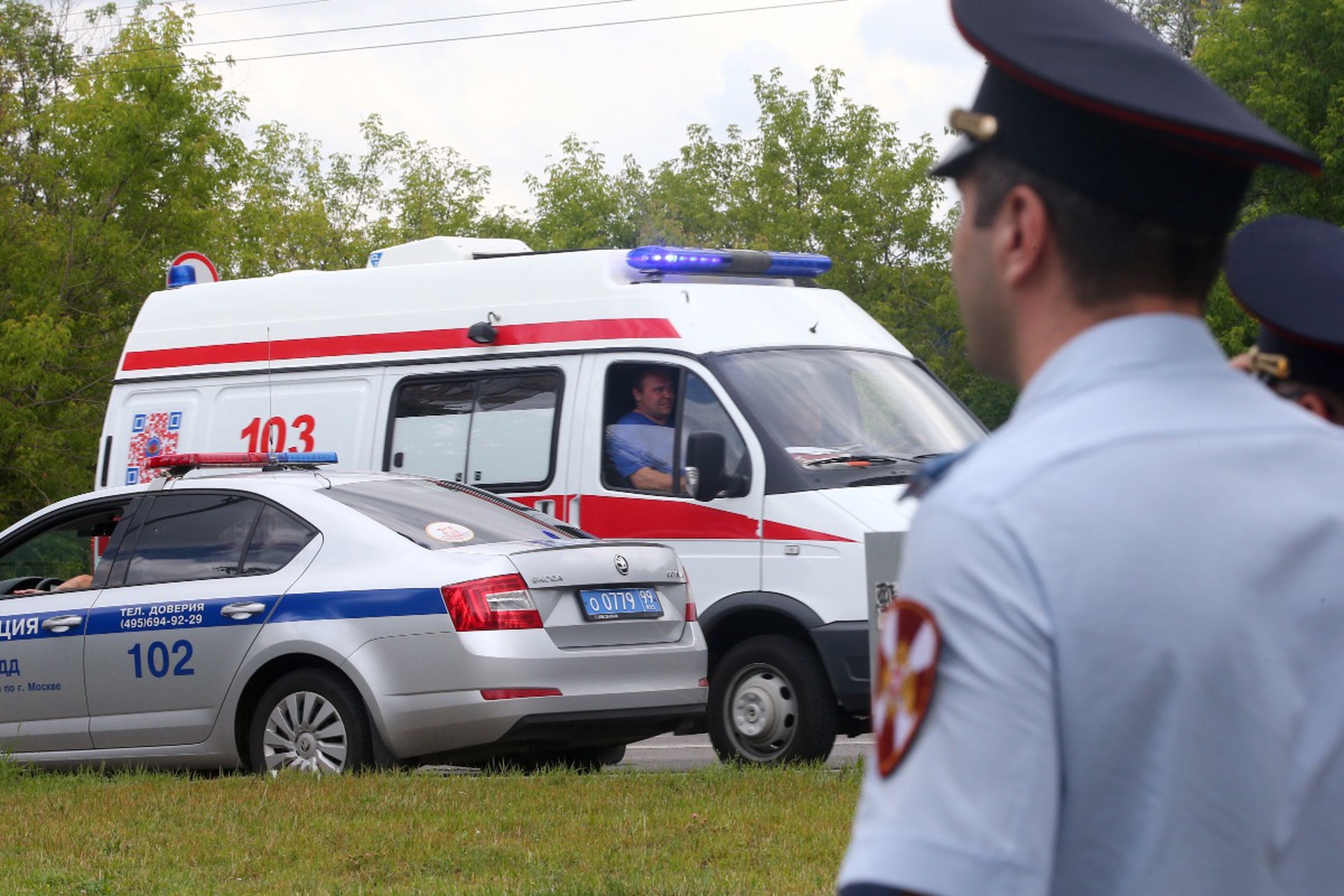 SHOT: Главу федерации MMA Алтая зарезали на свадьбе