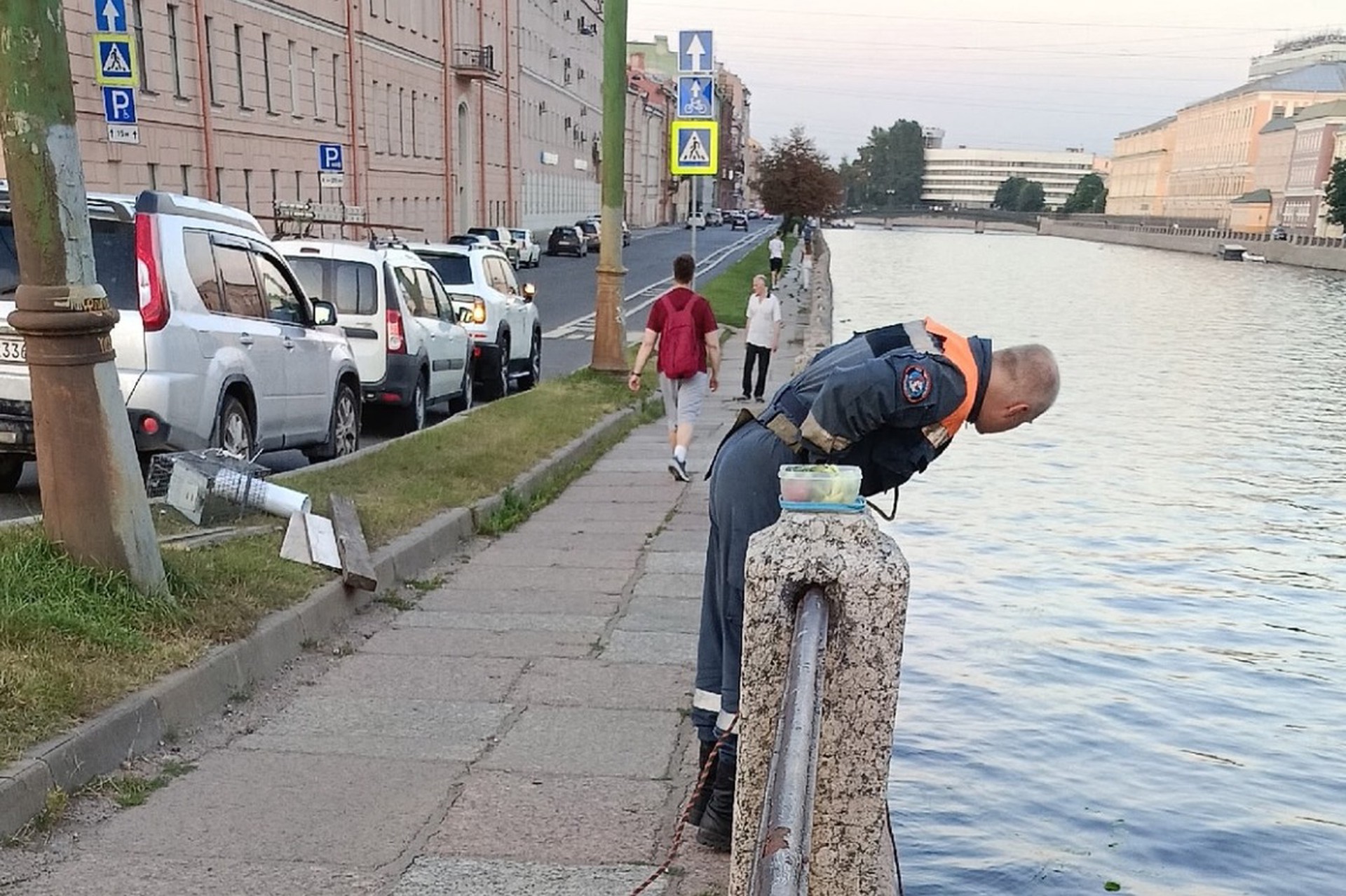 Волонтеры в Санкт-Петербурге четыре дня пытаются спасти застрявшего кота