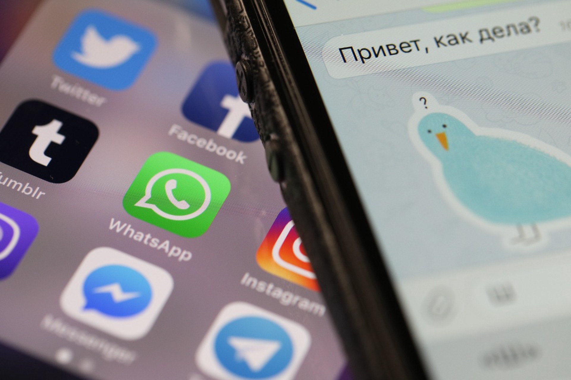 Интернет-омбудсмен ответил, ждать ли полной блокировки Telegram и WhatsApp* в России