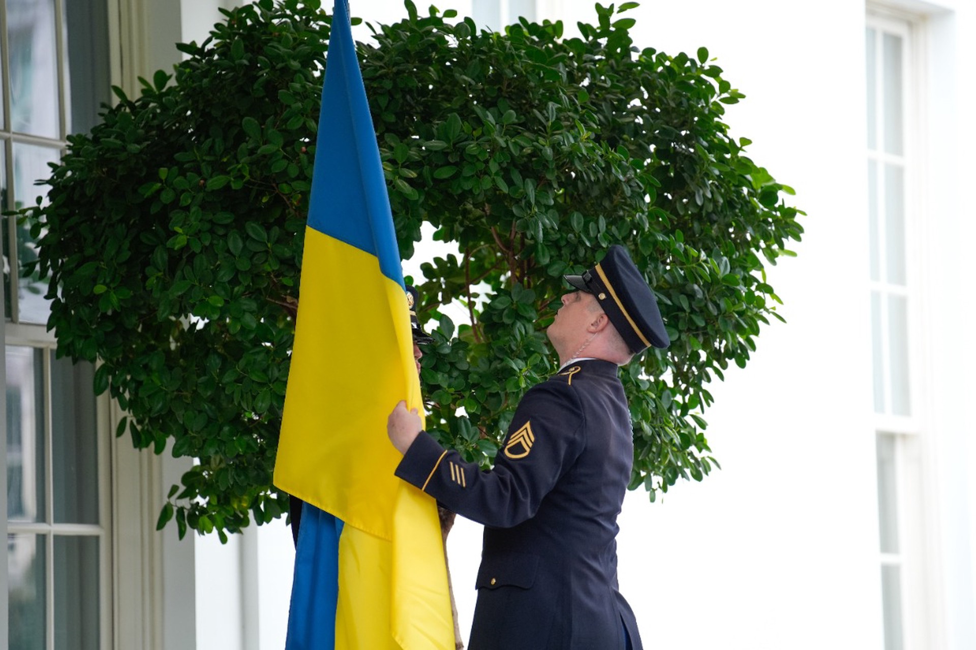 Разоруженные силы Украины: почему на Западе молчат о катастрофических потерях ВСУ