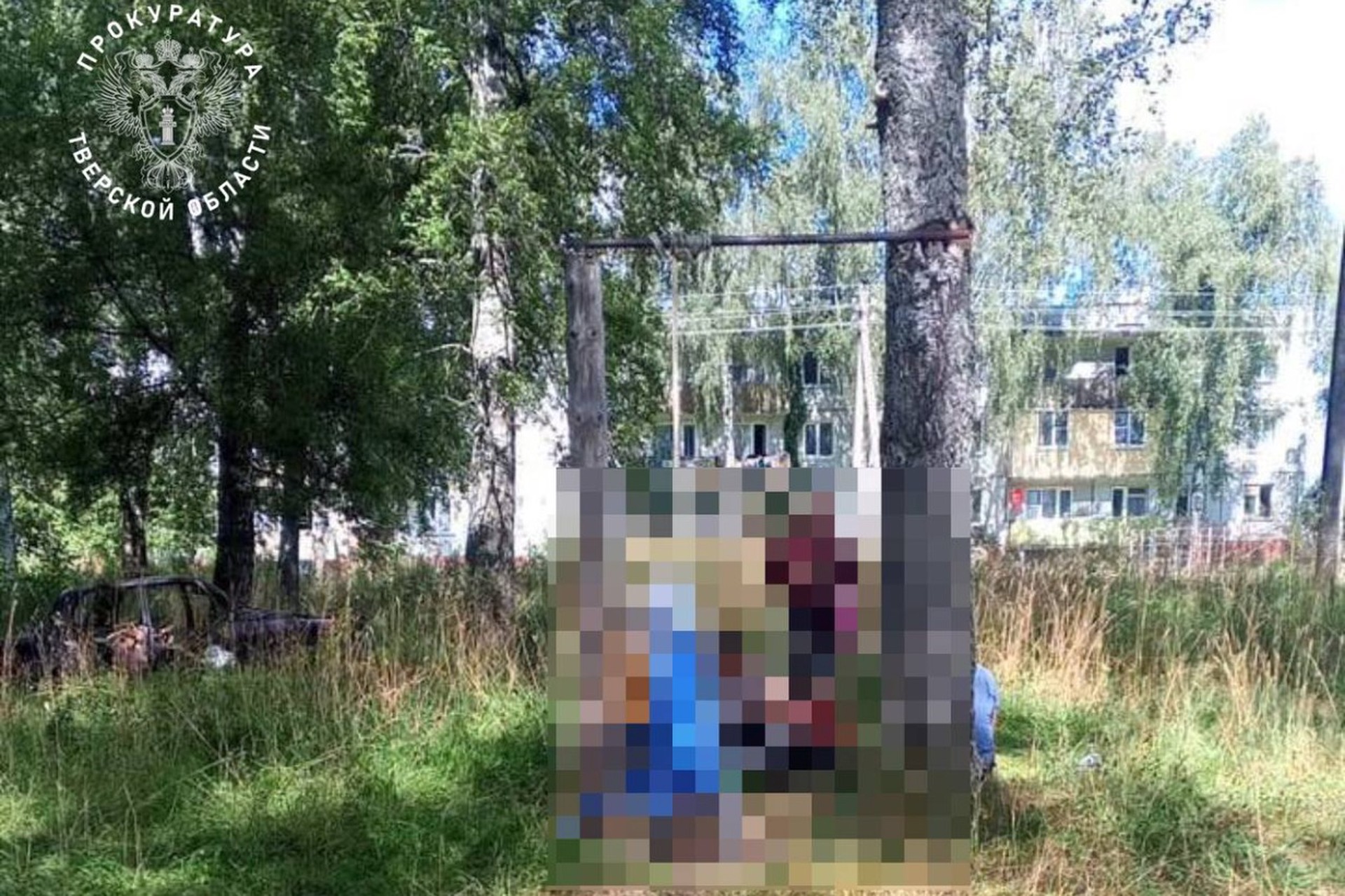 Ребенок погиб, запутавшись в самодельных качелях в Тверской области