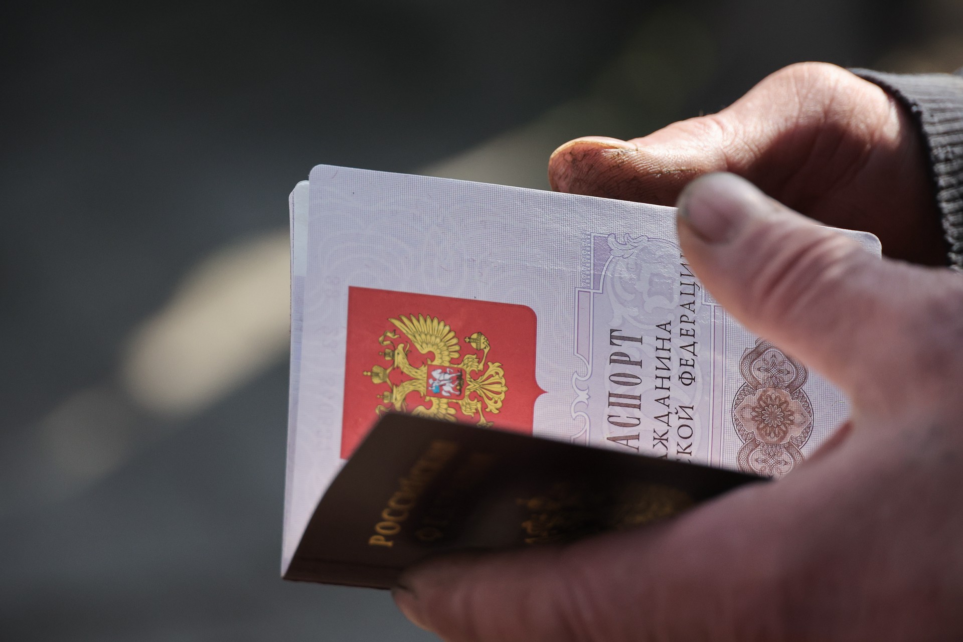 ЛДПР предложила лишать гражданства за изнасилования