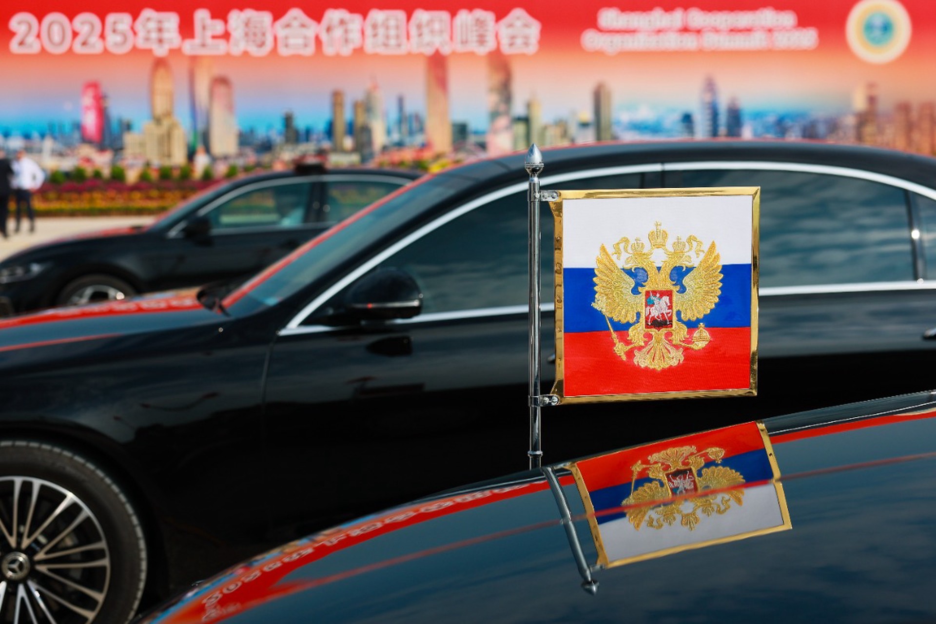 Китаист объяснила значение цветов в резиденции Путина на саммите ШОС
