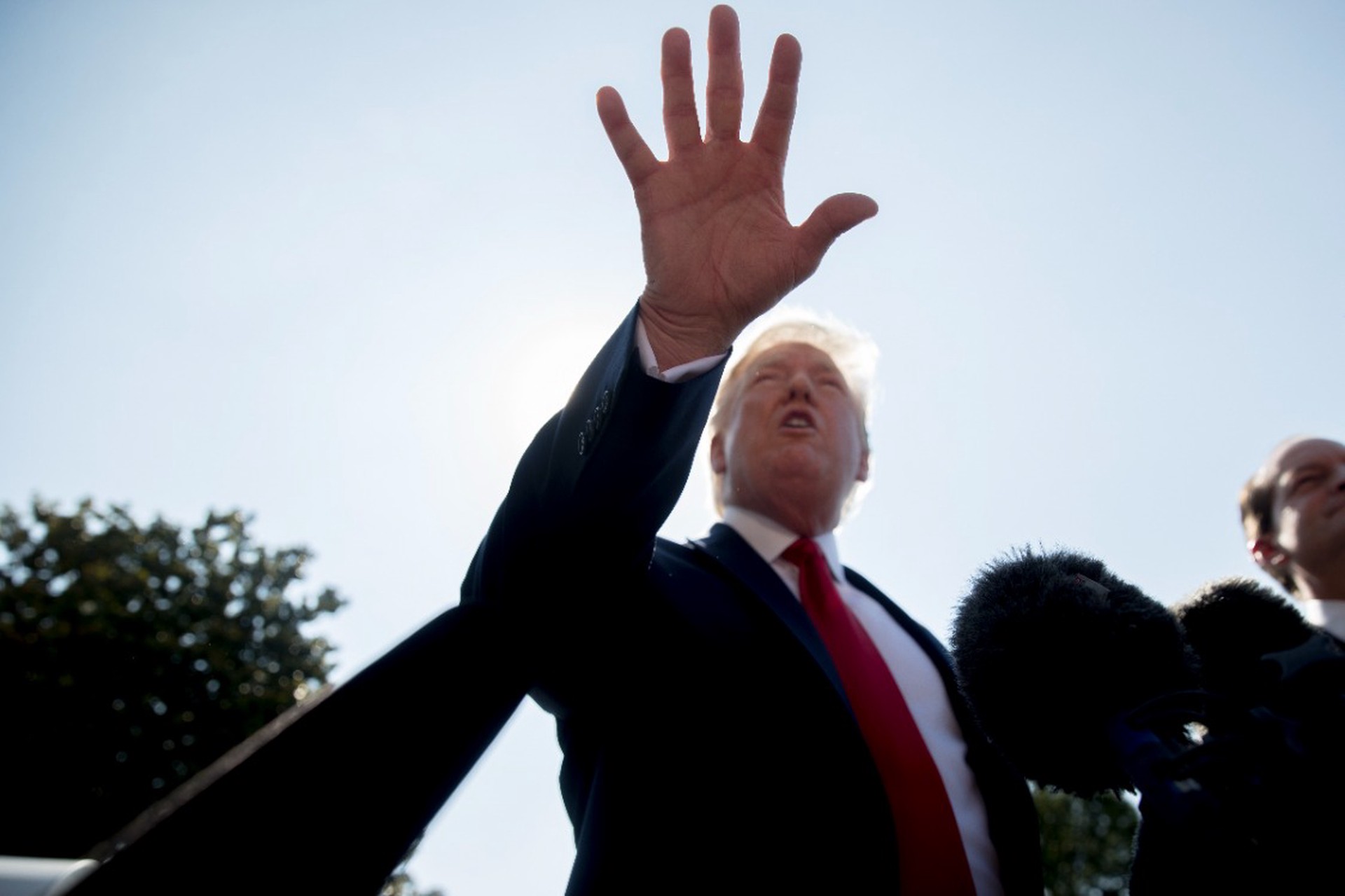 Стало известно, кто стоит за историей с открыткой Трампа для Эпштейна