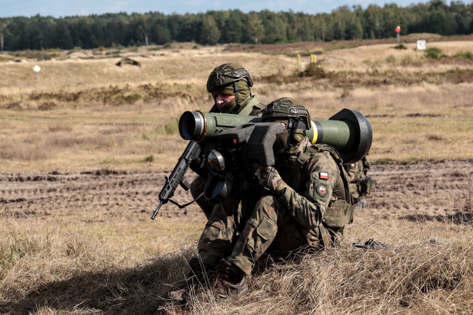 Эксперт рассказал, ради борьбы с какими странами Польша закупает Javelin у США