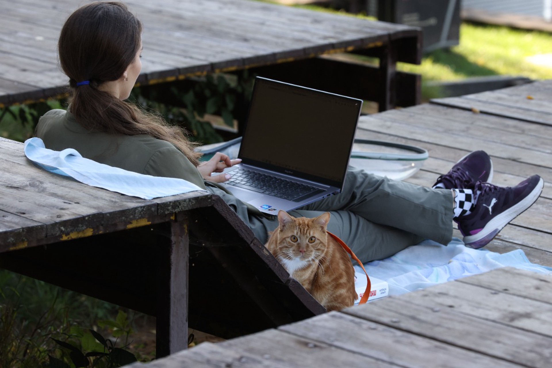 Россия в рейтинге стран с наибольшей бот-активностью