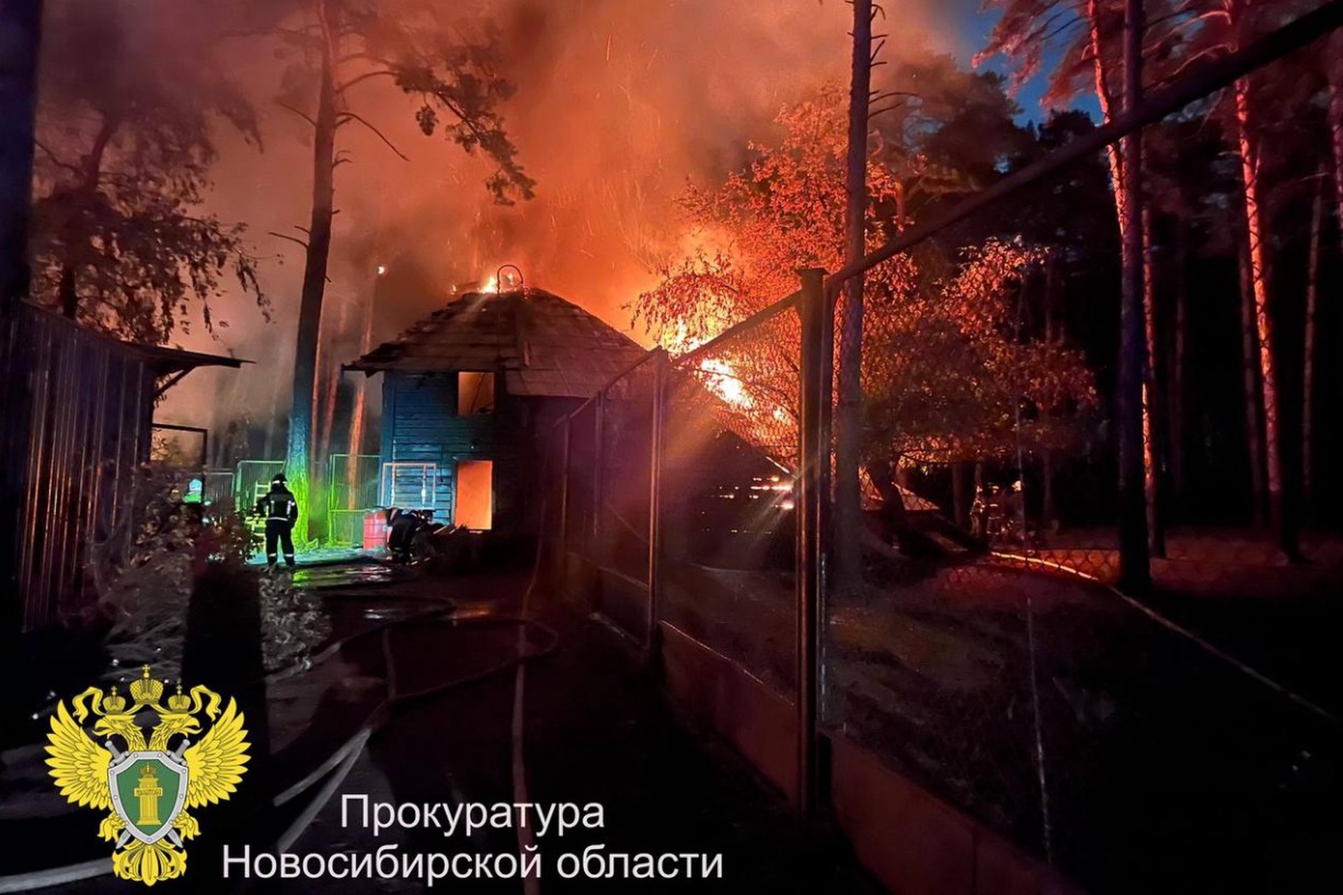 Ламы и альпака погибли при пожаре в Новосибирском зоопарке, начата проверка