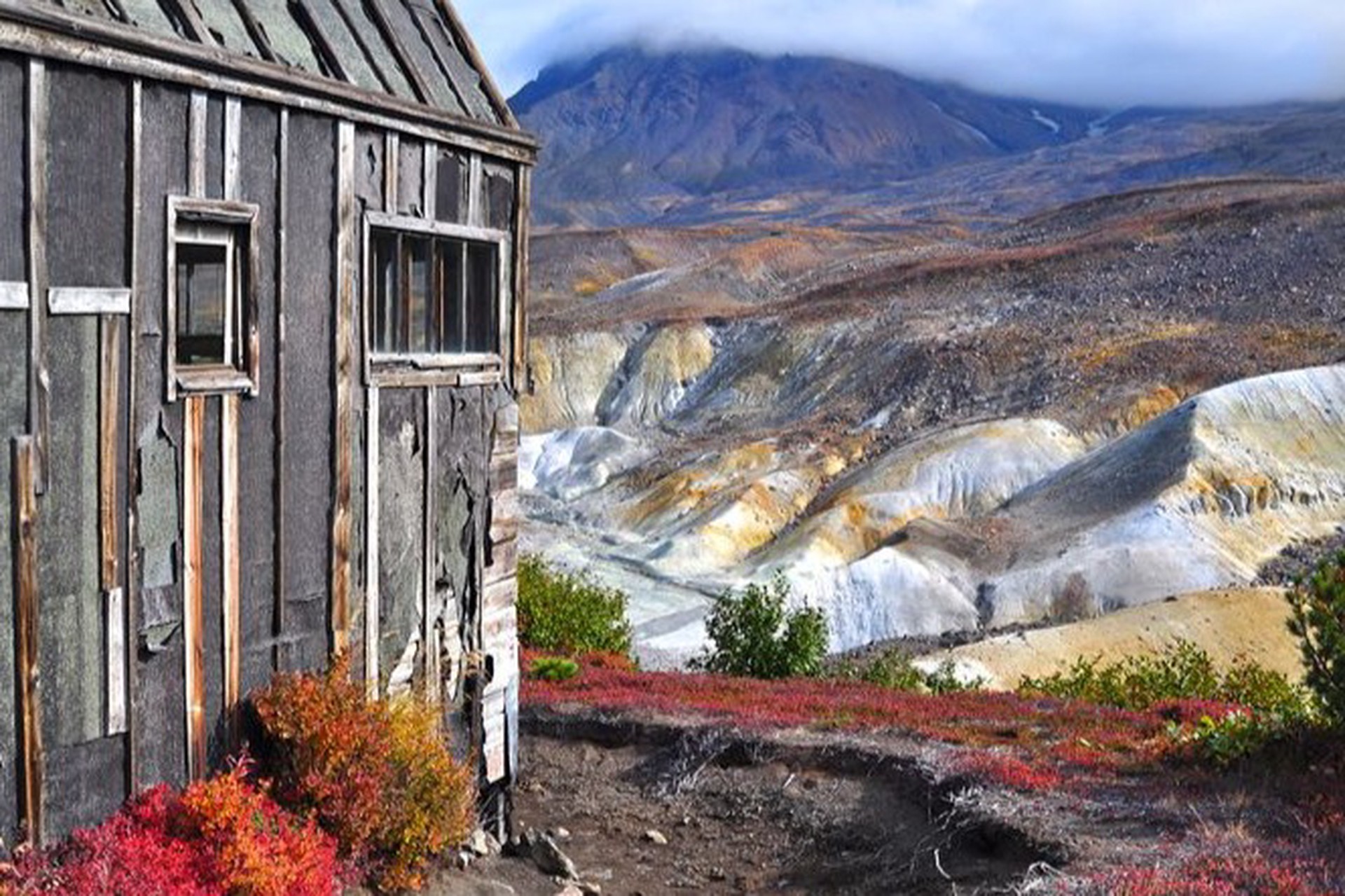На Камчатке нашли микроорганизмы, которые могут перерабатывать мусор