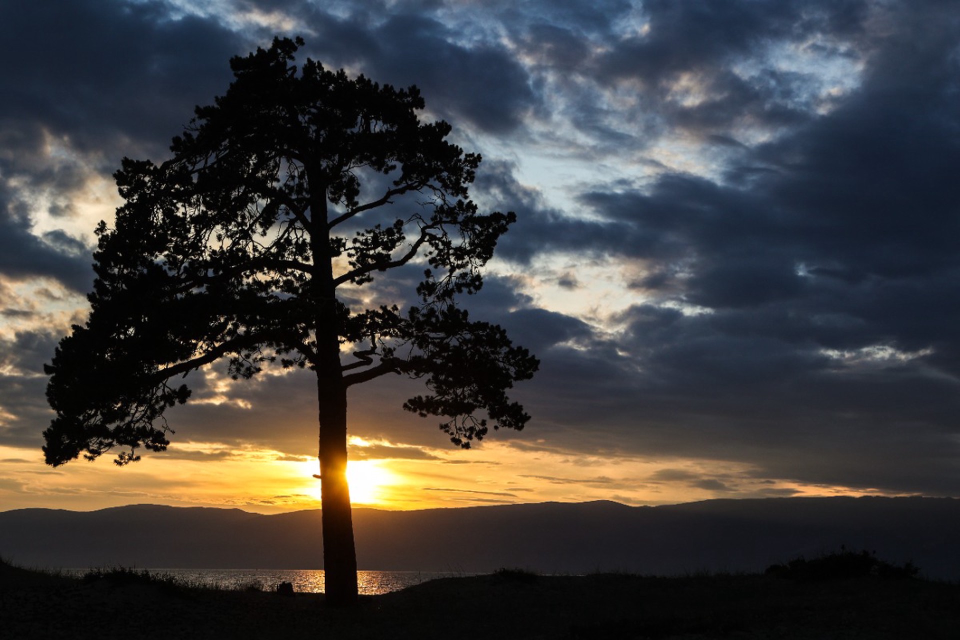 В Госдуме выступили против рубки лесов на Байкале