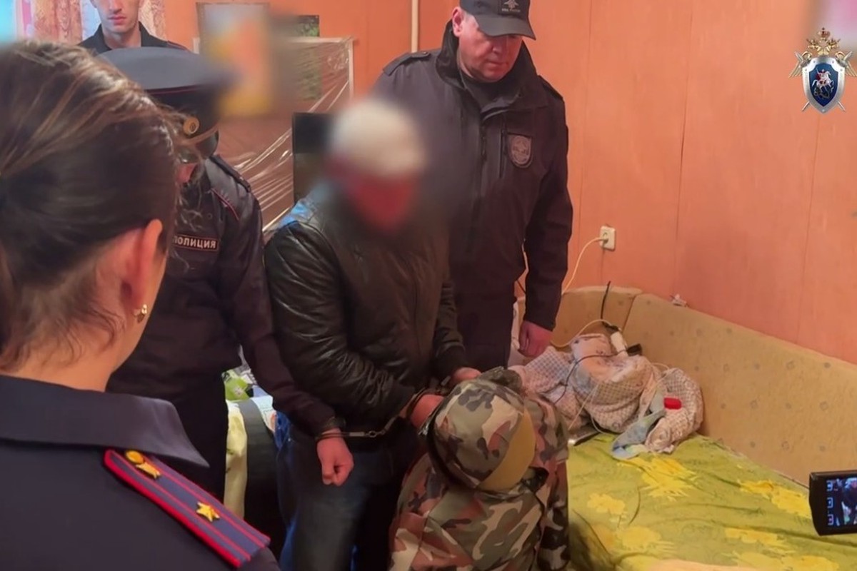 Серийного душителя – форточника задержали в Подмосковье