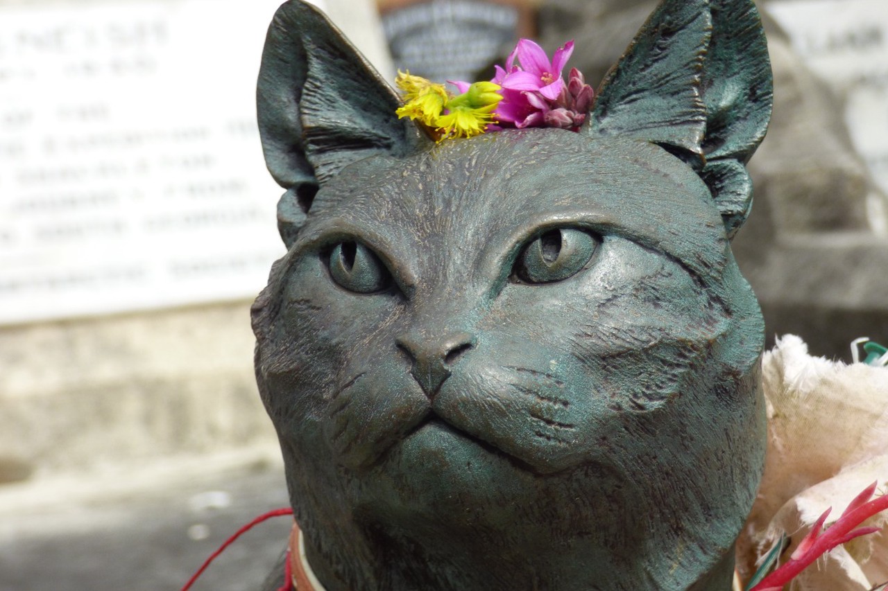 Самые известные коты в истории