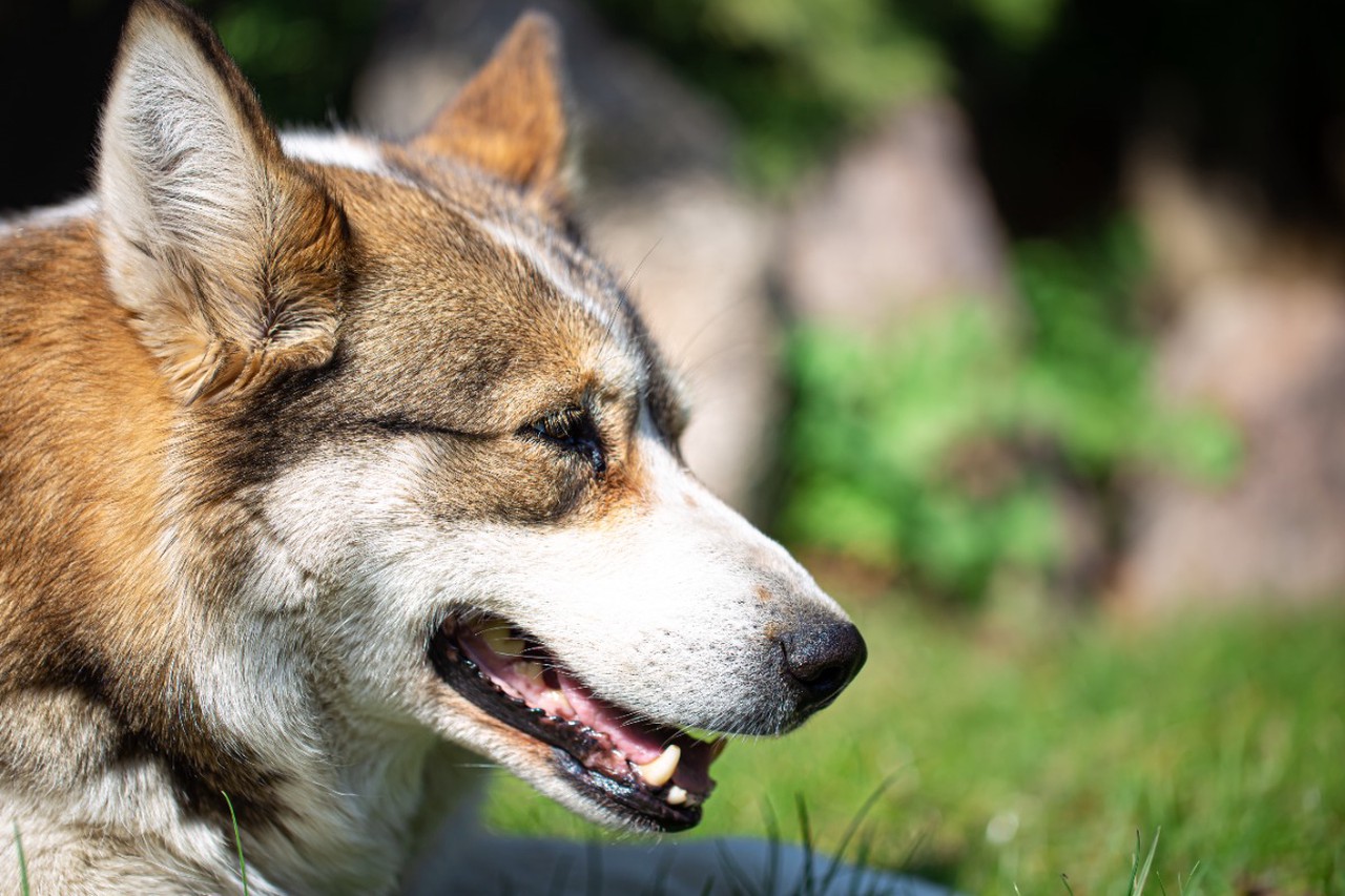 Гадания на Рождество: старинные традиции и способы заглянуть в будущее