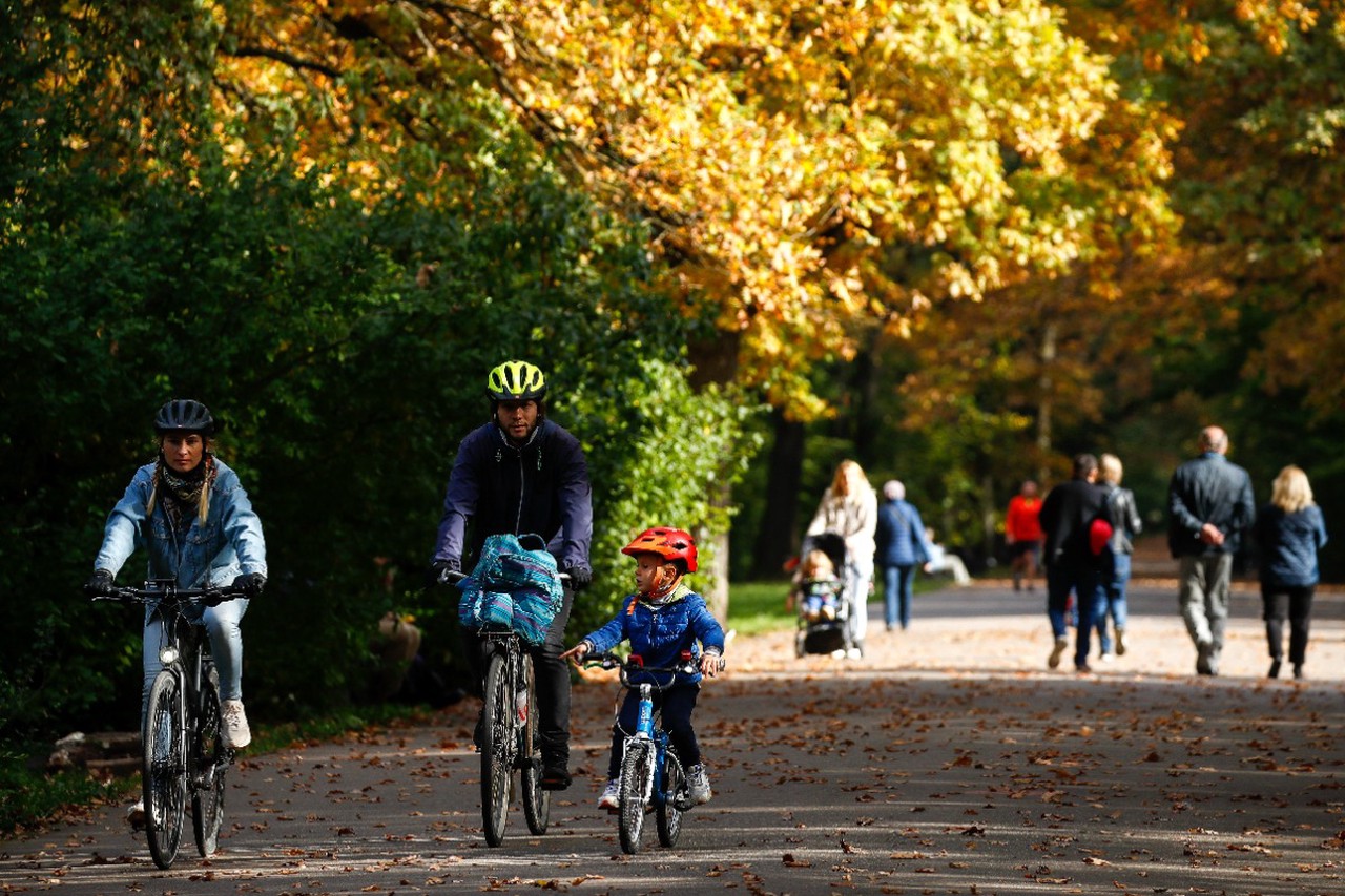 Не только витамин C: что на самом деле укрепляет иммунитет осенью