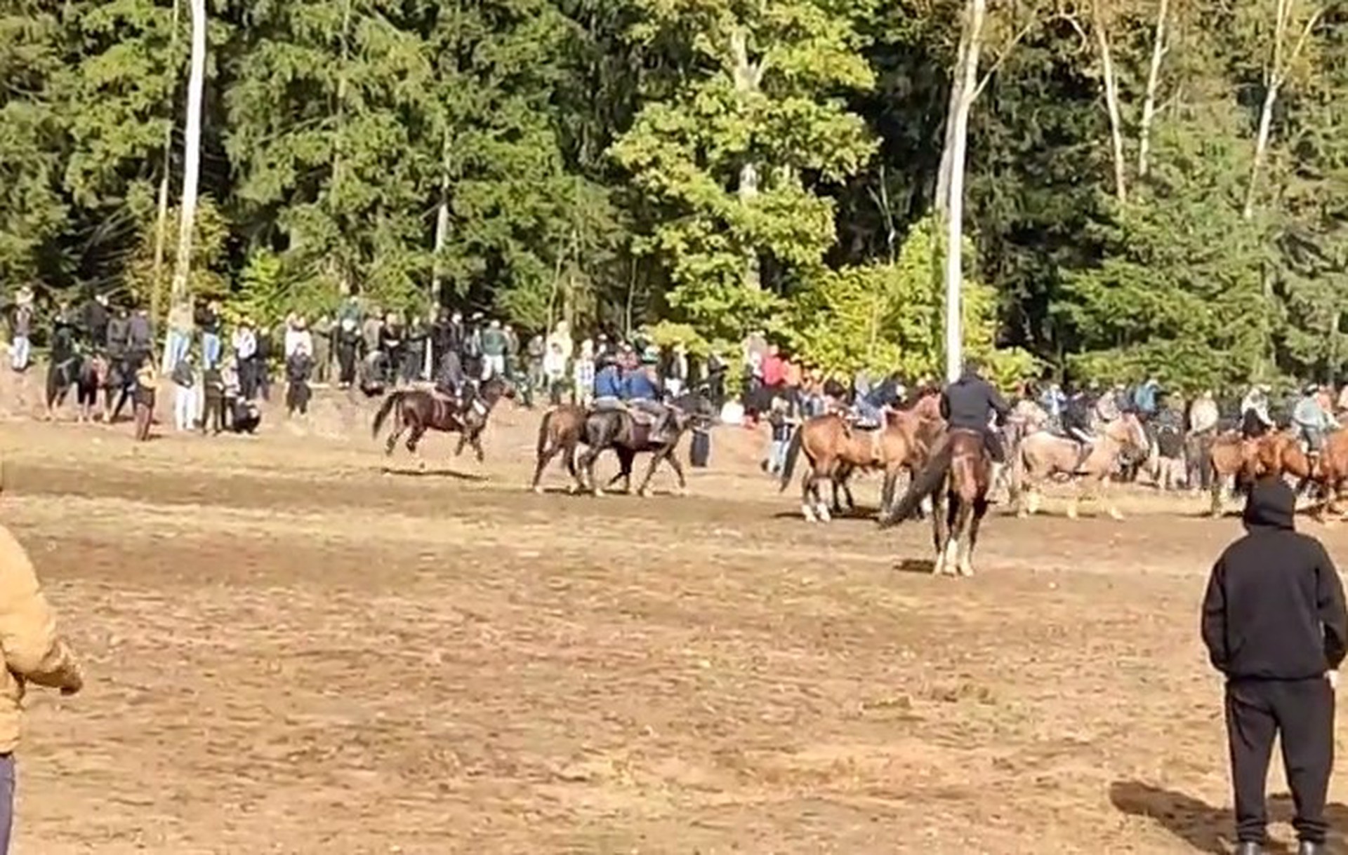 Сотни мигрантов устроили чемпионат по игре тушей мертвого козла в Подмосковье