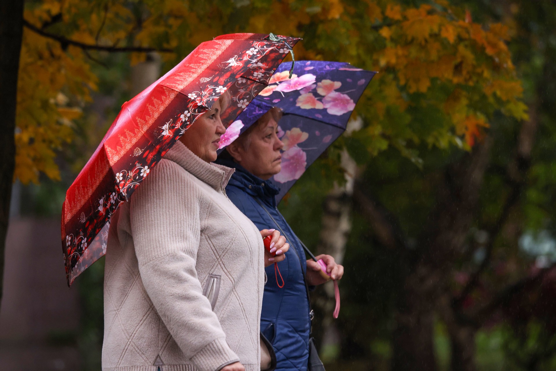 Главное к утру 15 ноября: в Госдуме обсуждают досрочную пенсию, США сняли часть санкций, на Украине новая глупость