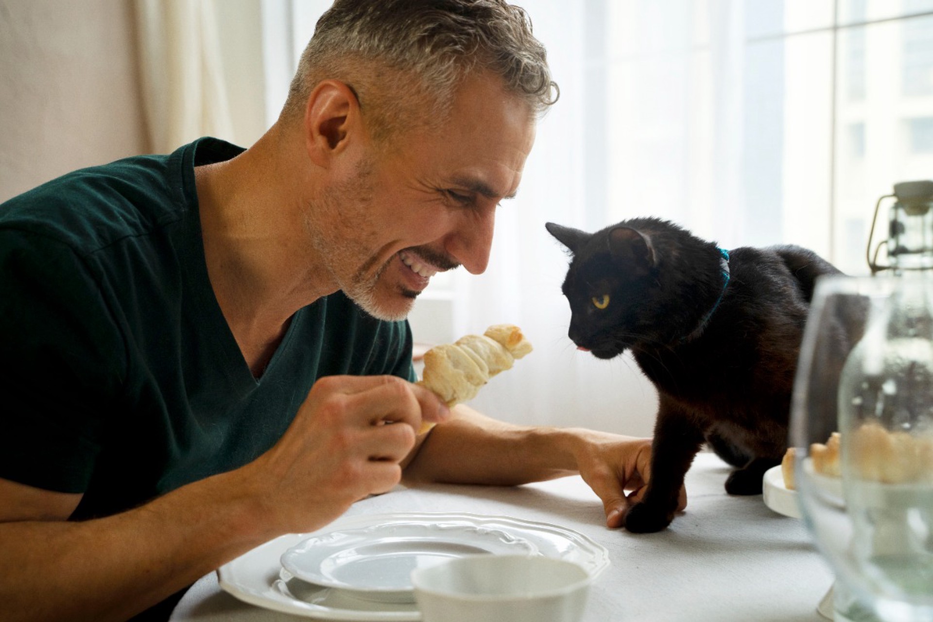 Ветеринар предупредил о вреде продуктов со стола для домашних животных