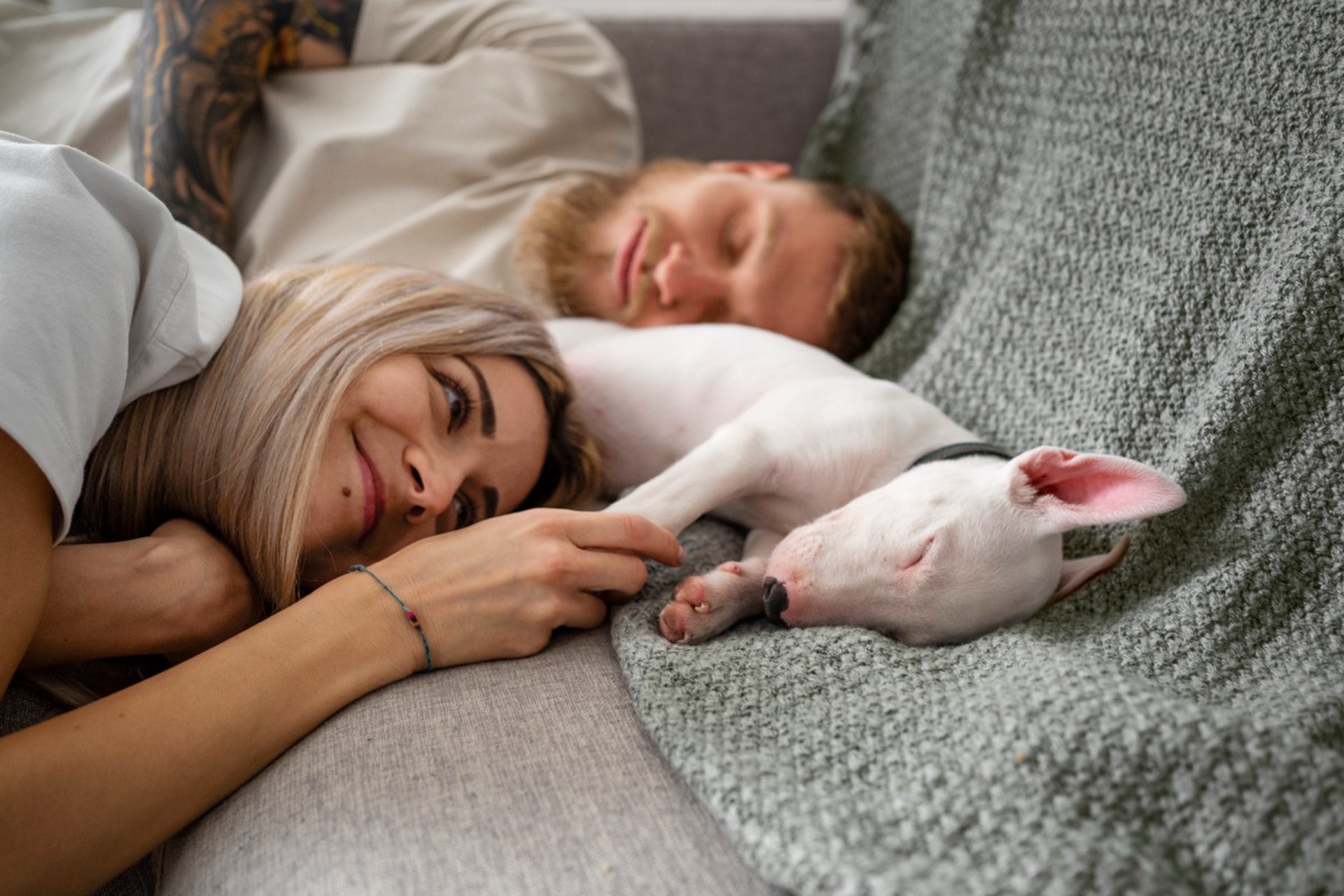 Сомнолог предупредил о рисках для здоровья от сна с домашним животным