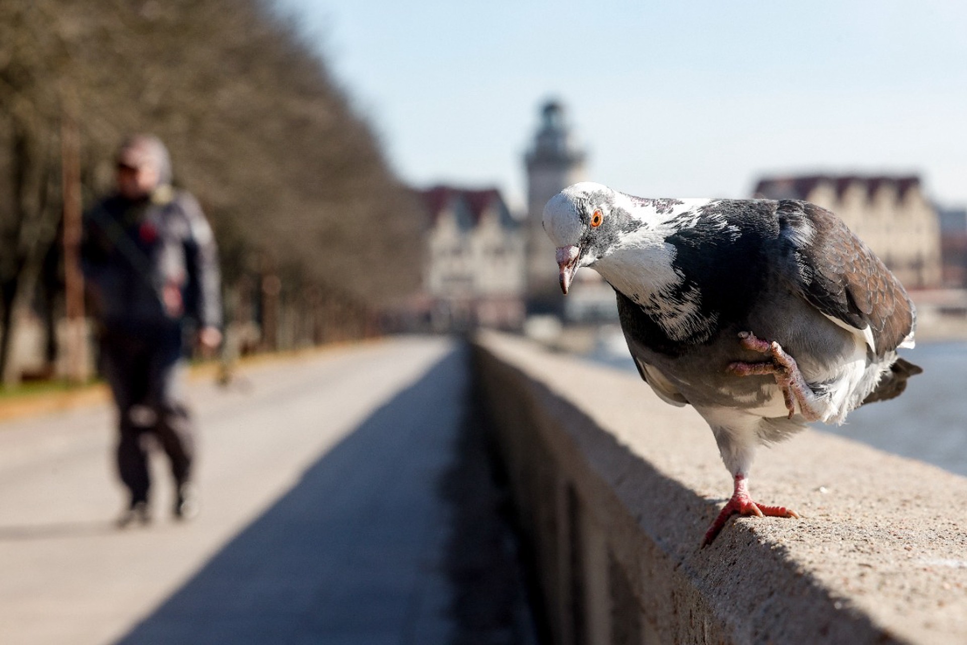 В Госдуме назвали цель заявлений Запада о запрете транзита в Калининград