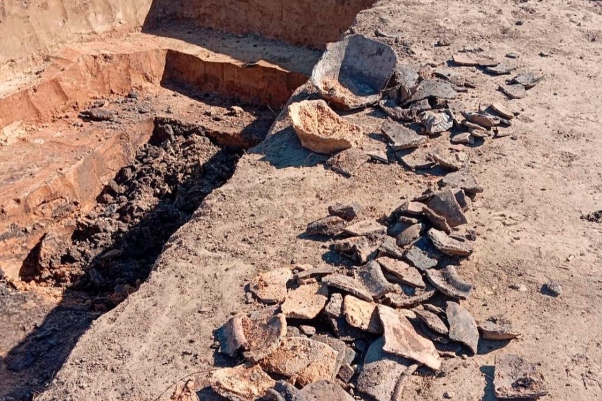 Научная сенсация под Дубной: найдены следы средневекового поселения