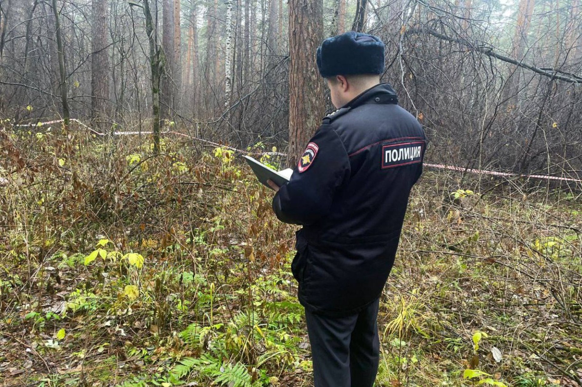 Найденную в лесу Екатеринбурга женщину обезглавил ее сын