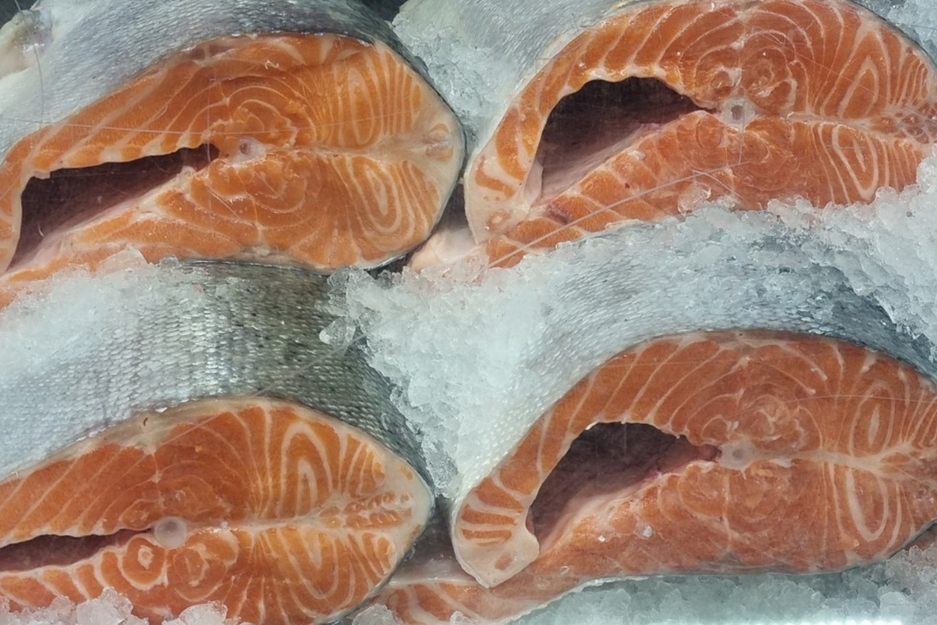 Стали известны последствия пошлин ЕС против рыбы из России