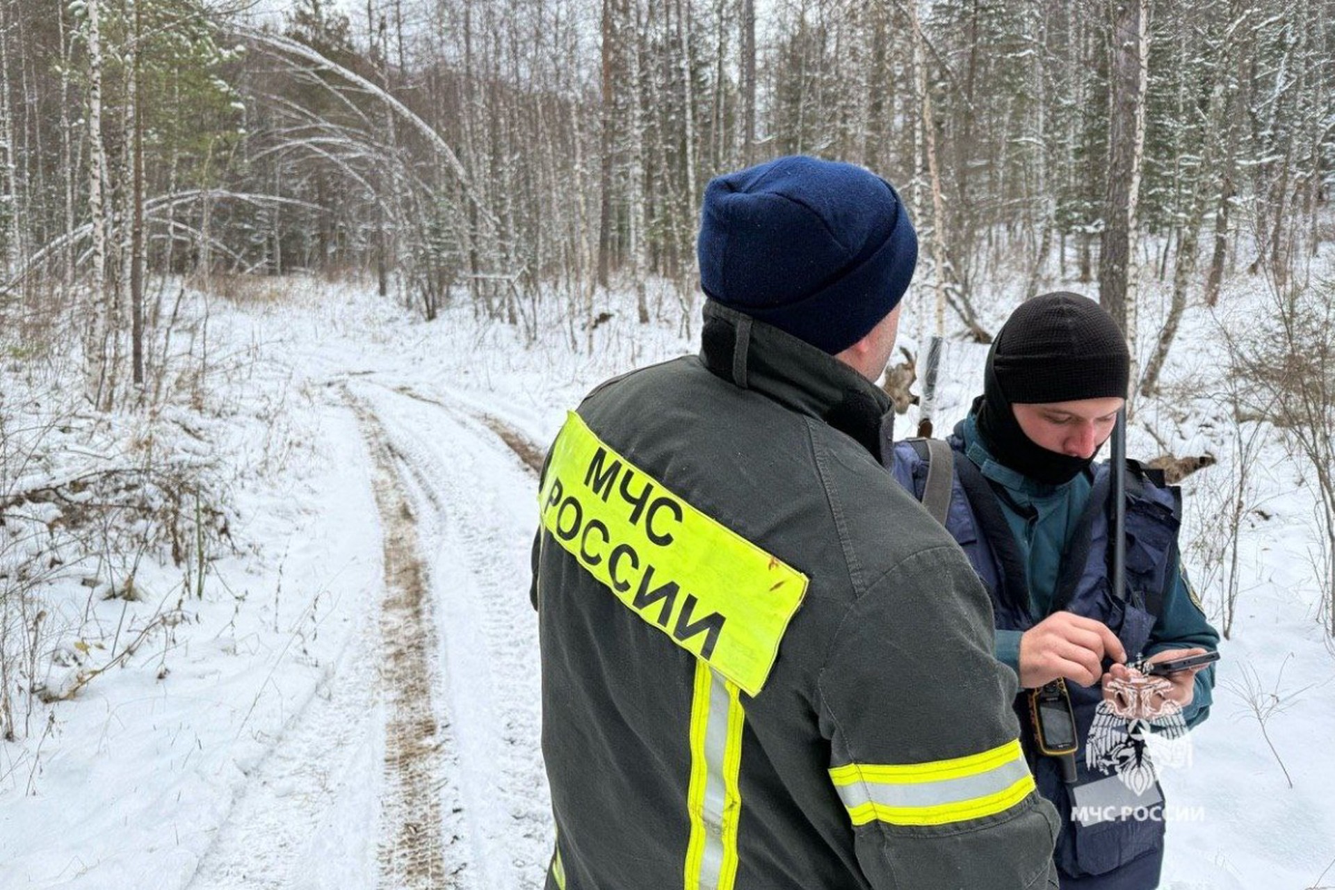 Пару, похожую на пропавших Усольцевых, заметили в Новосибирске