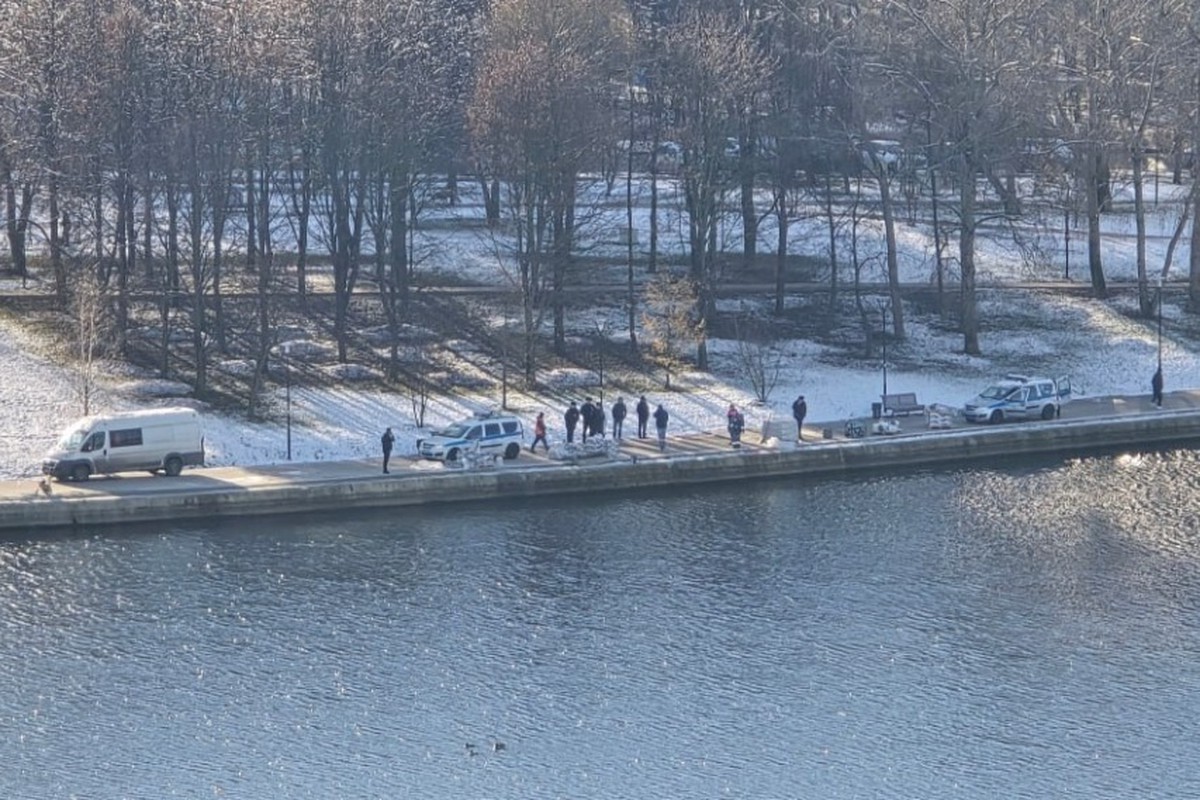Стало известно, кто нашел голову ребенка в пруду