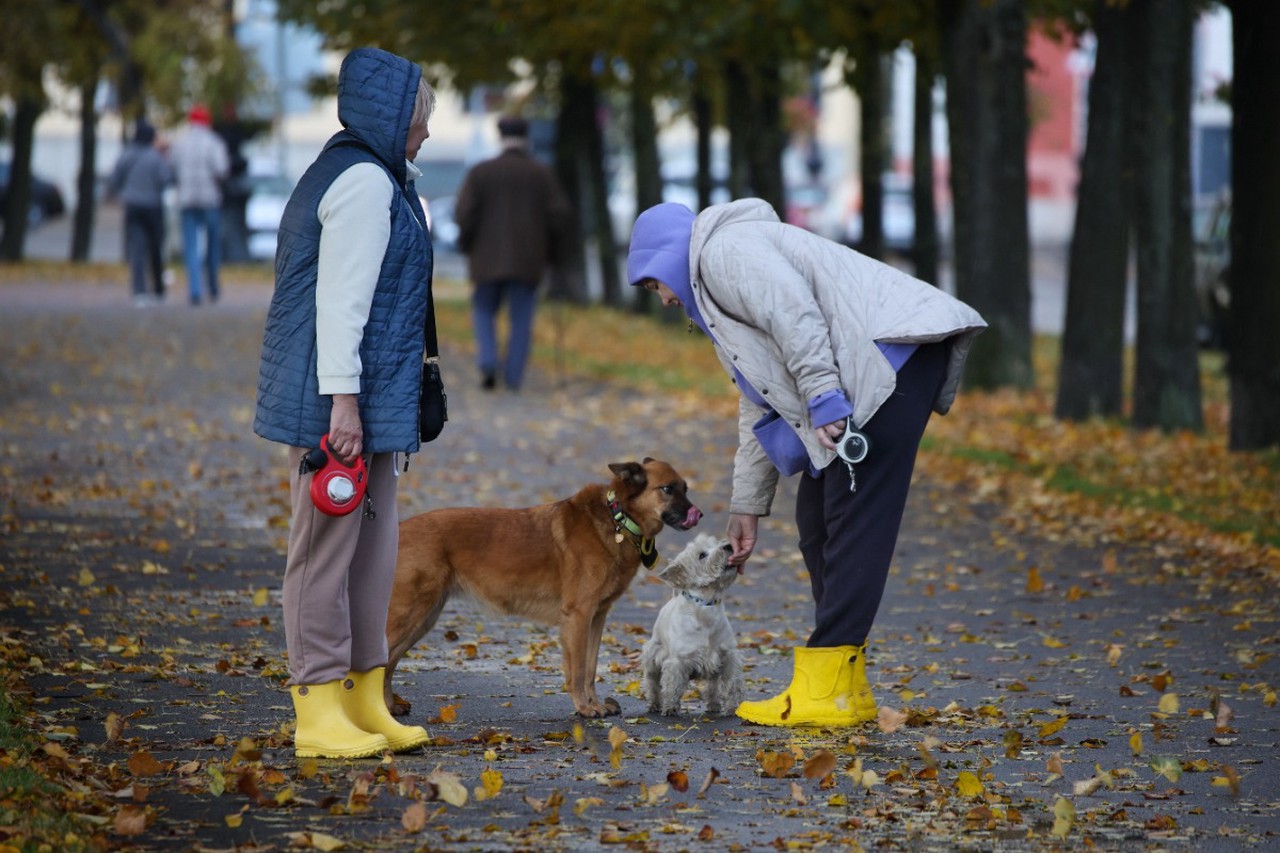 Осенняя хандра или депрессия? Как отличить и что делать