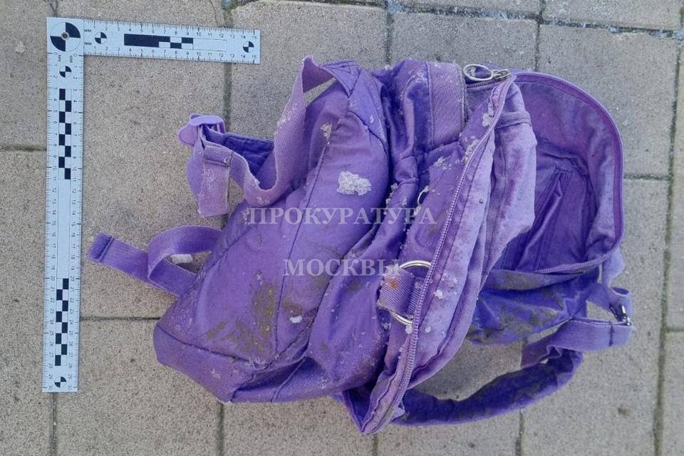 Расчлененка в Балашихе: что известно о жутком убийстве ребенка и как накажут мать-ведьму