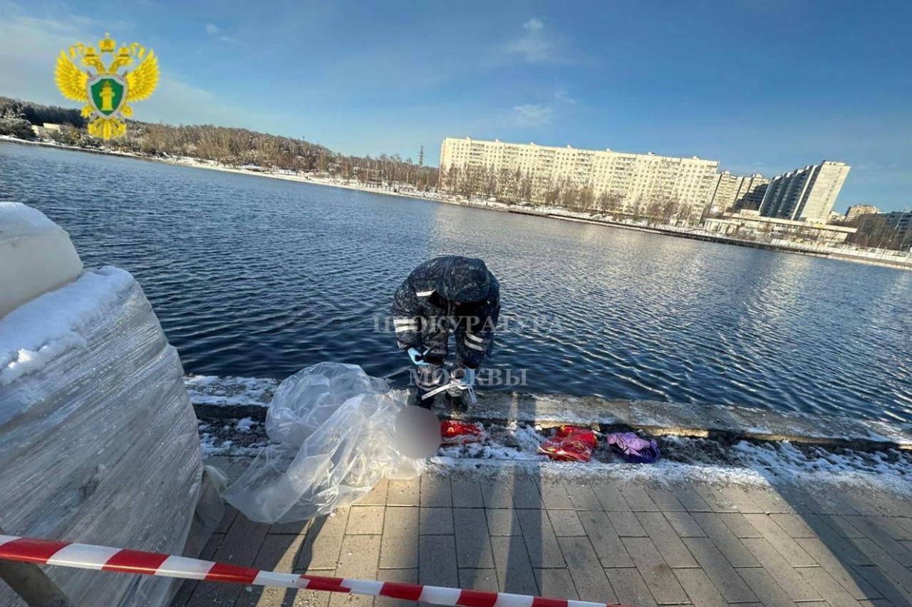 Расчлененка в Балашихе: что известно о жутком убийстве ребенка и как накажут мать-ведьму