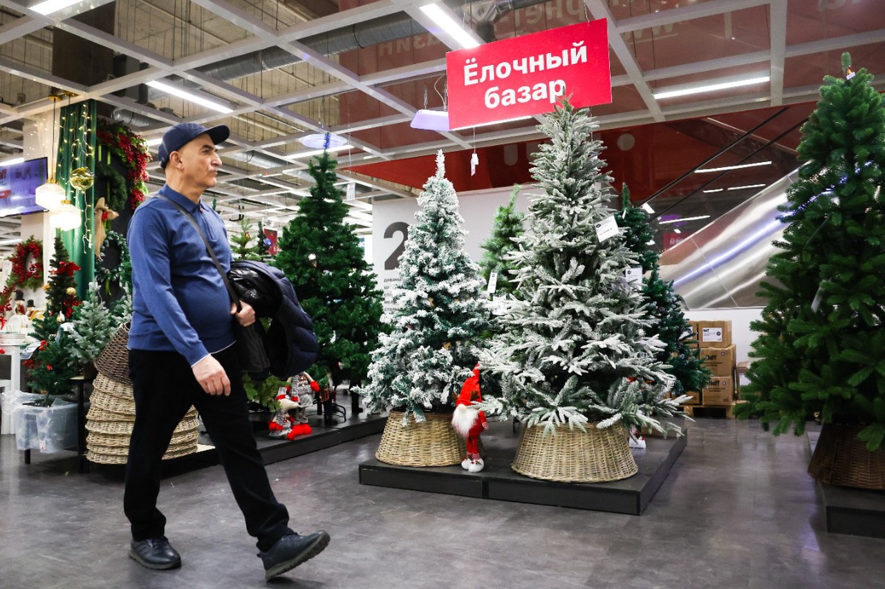 Живая ель против искусственной: честный разбор, что выгоднее и экологичнее