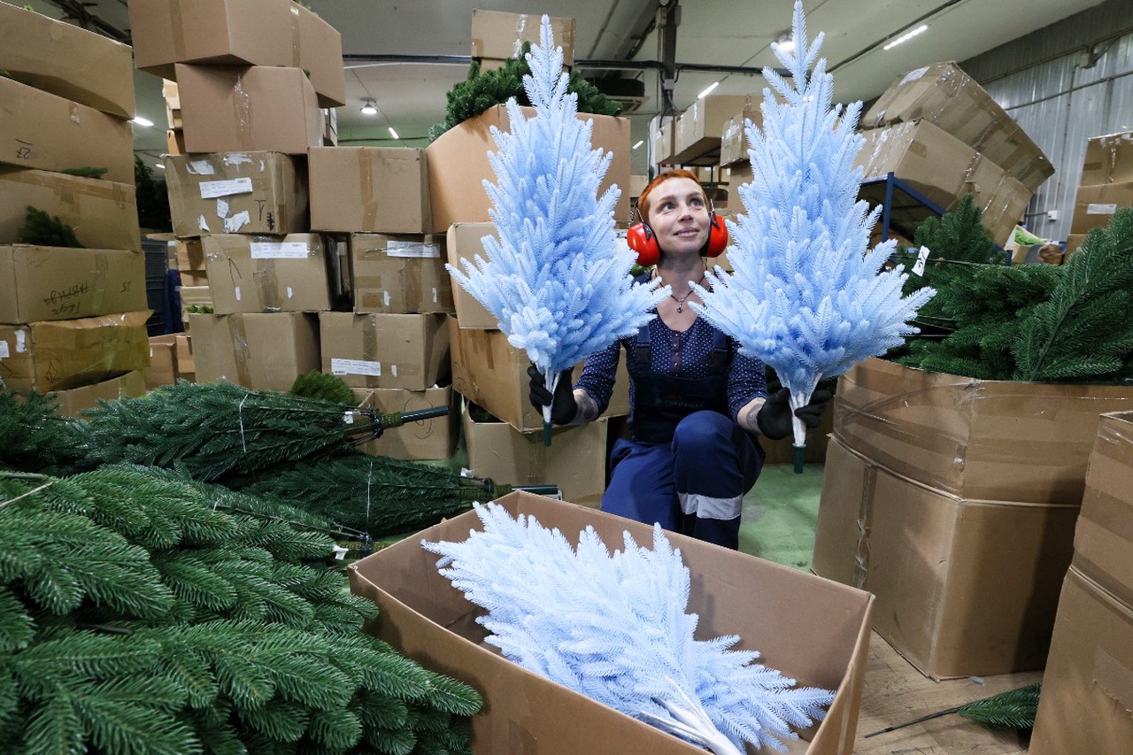 Живая ель против искусственной: честный разбор, что выгоднее и экологичнее