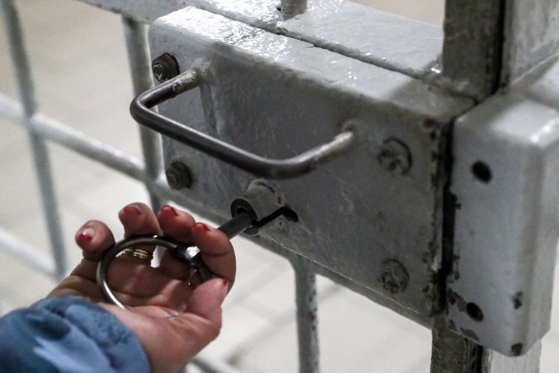 Главу «Сиэми» Синьговского приговорили к четырем годам за хищения в Курской области