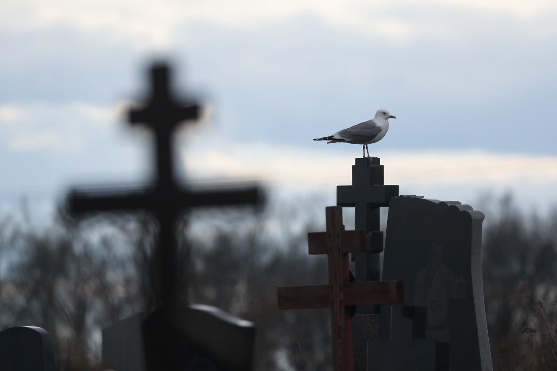 В РПЦ рассказали, можно ли есть лежащие на могилах конфеты