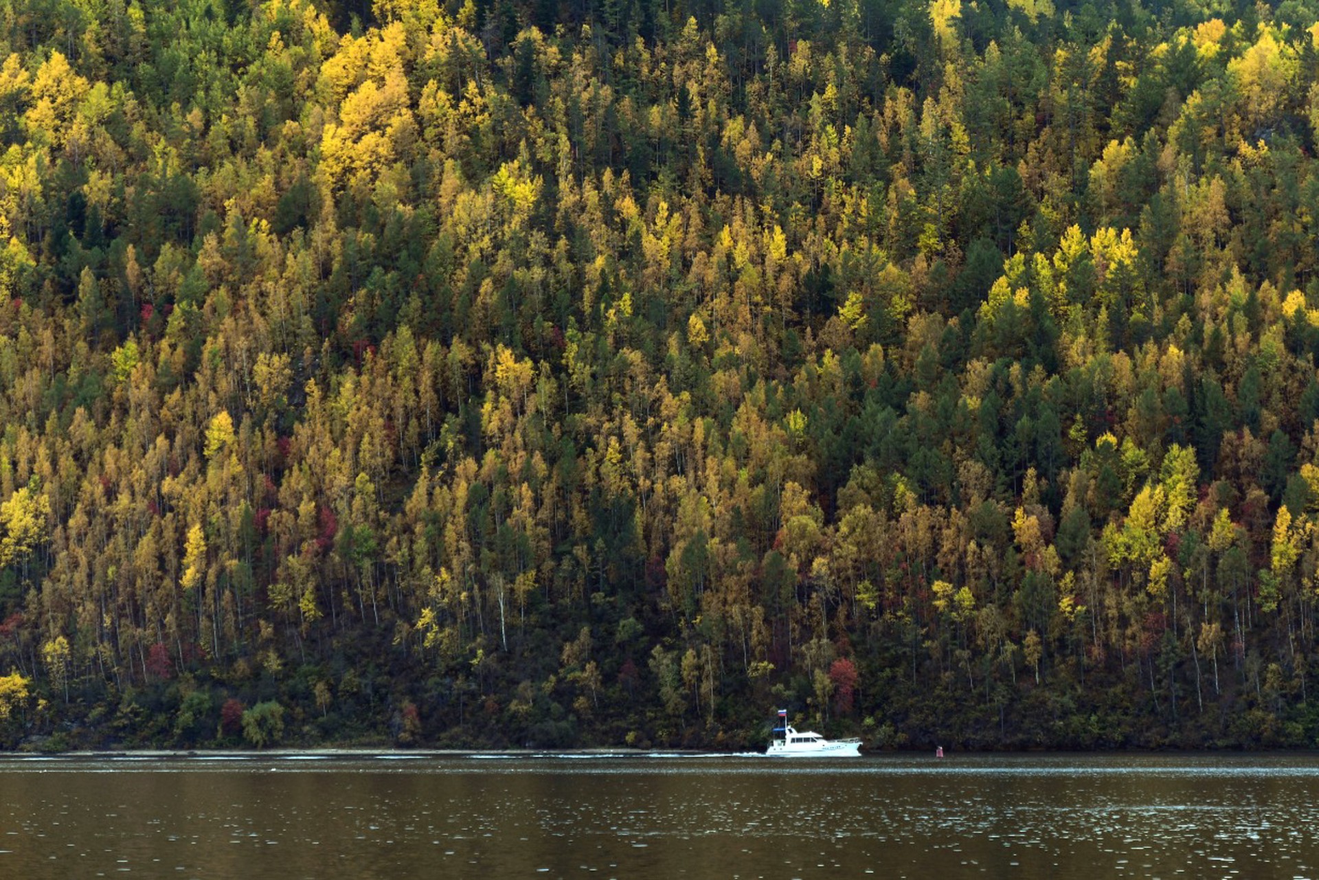 Кластер на мозоль: зачем России новые города во глубине сибирских руд