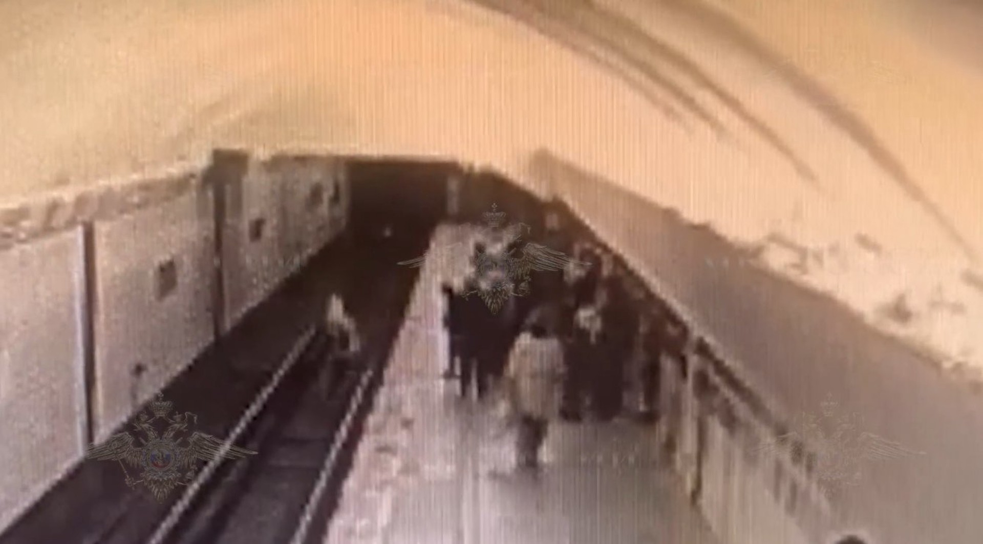 Толкнувшая подростка на рельсы в метро пенсионерка может получить до 20 лет лишения свободы