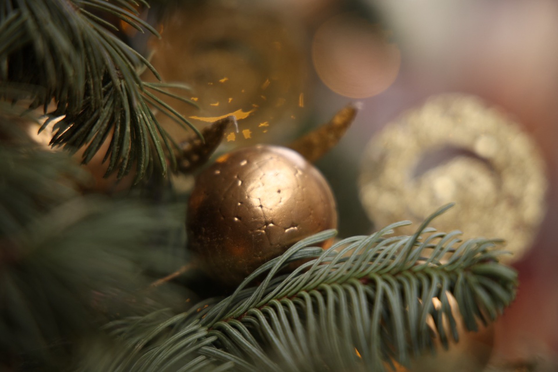 Стало известно какую зарплату получат россияне за праздничный январь