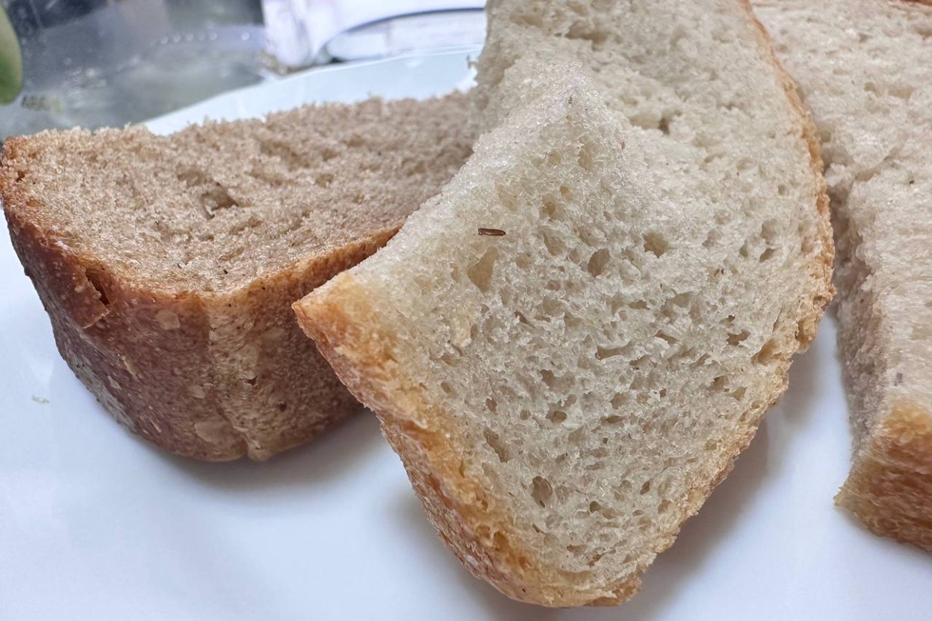 Хлебом с личинками накормили детей в камчатской школе